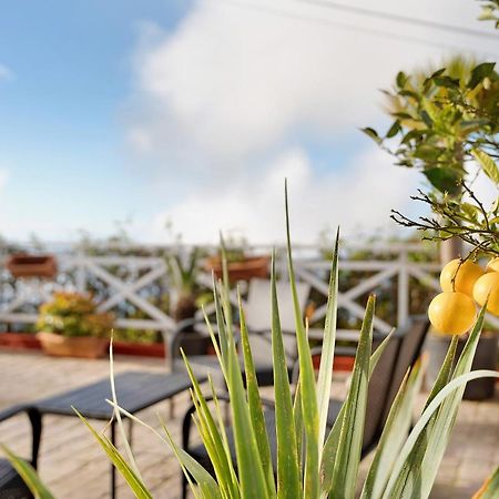 Casa Andrea Villa Tacoronte Dış mekan fotoğraf