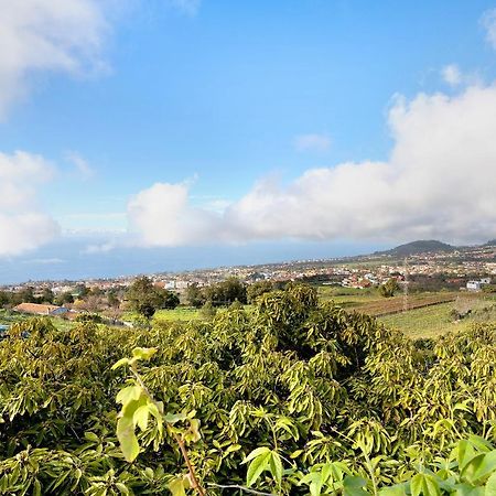 Casa Andrea Villa Tacoronte Dış mekan fotoğraf